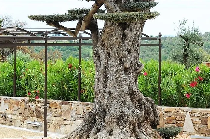 La Bastide De Hotel