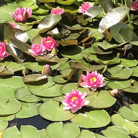 Hotel La Bastide De Ramatuelle