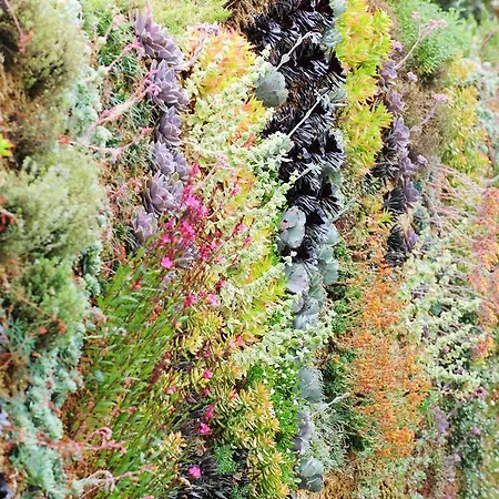 La Bastide De 3* Ramatuelle