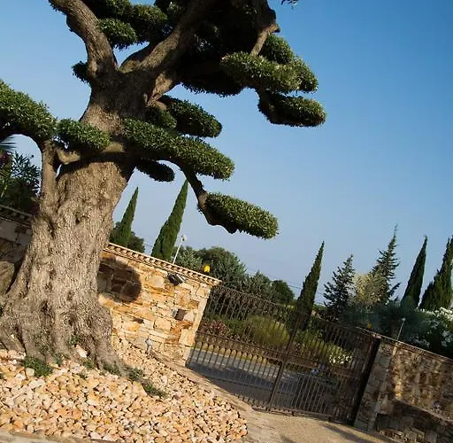 酒店 La Bastide De 3*
